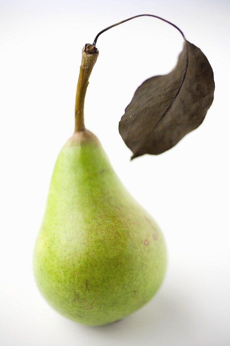 Eine Birne mit vertrocknetem Blatt