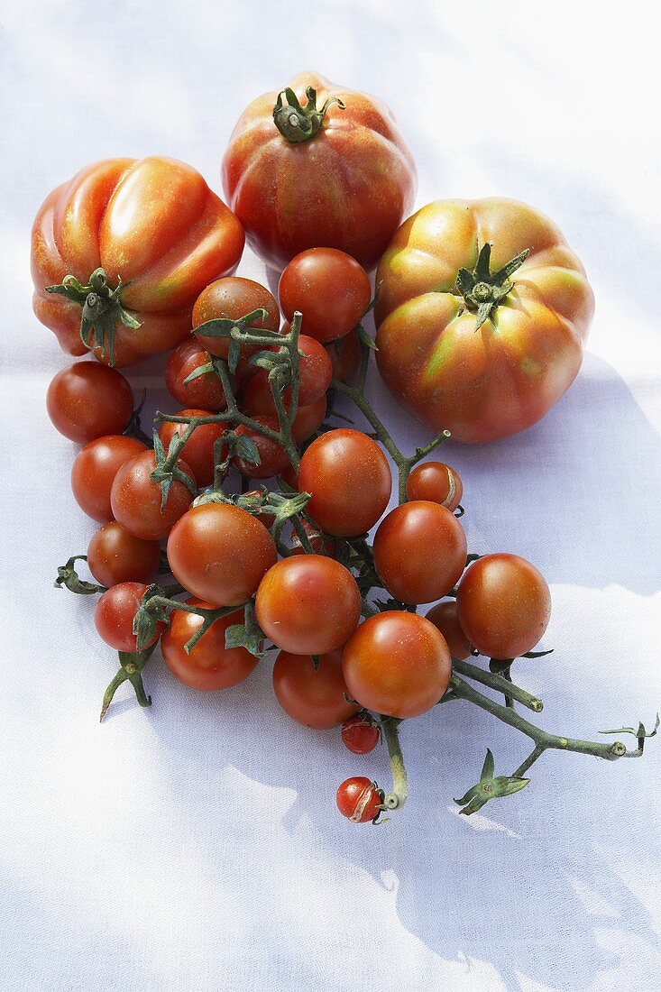 Gemischte Tomaten