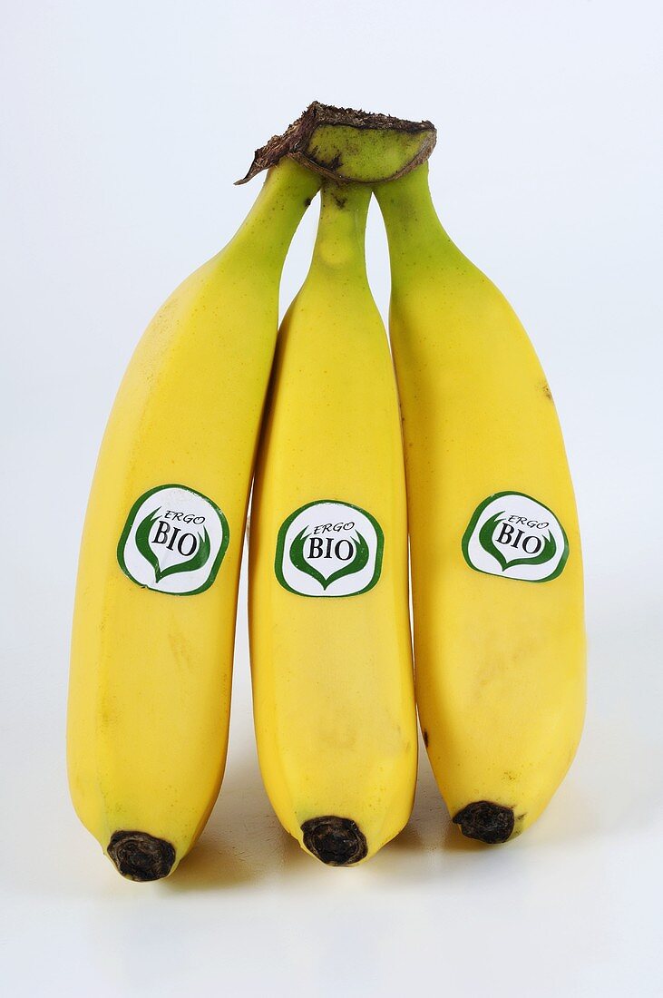 Drei Bio-Bananen