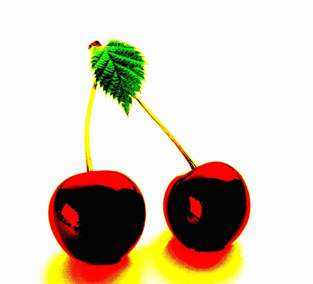A pair of cherries with leaf