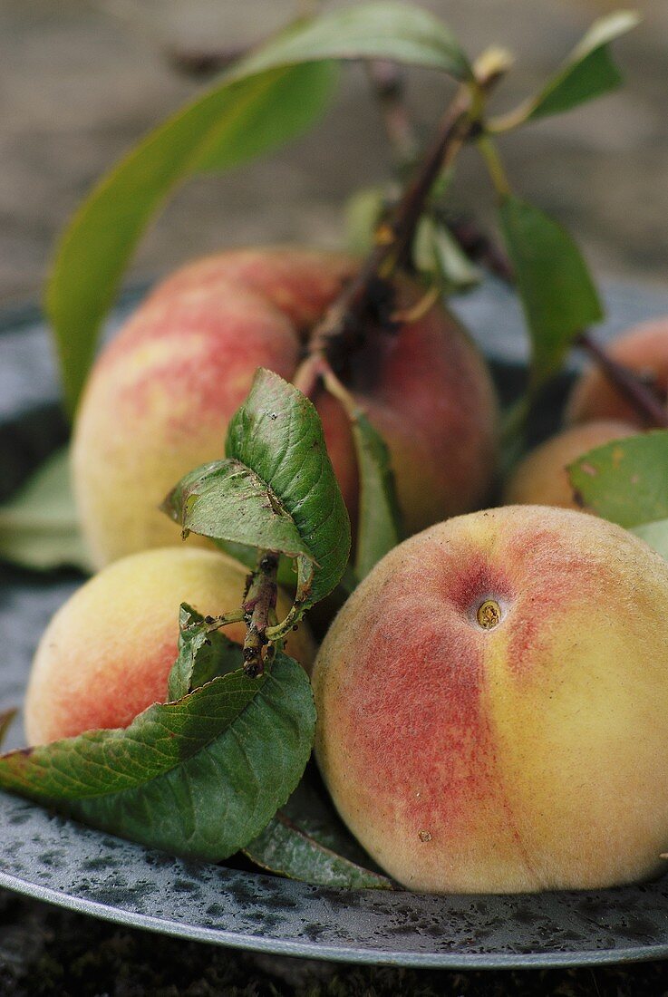 Peaches with branch