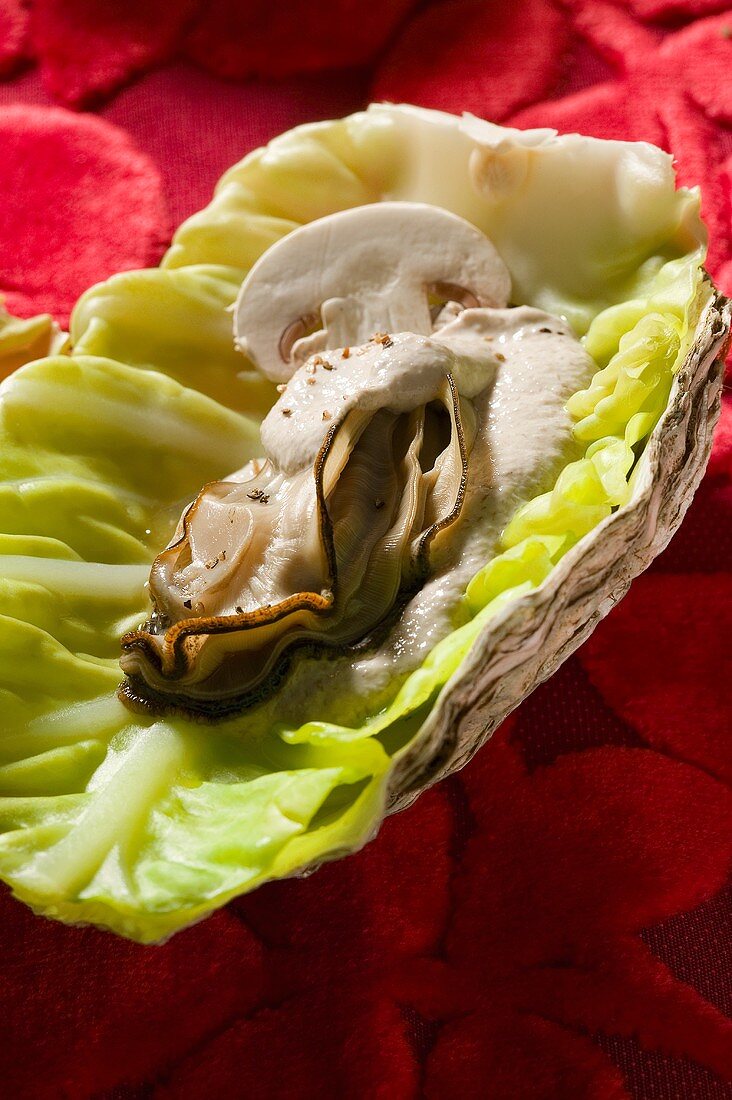 Oyster in a cabbage leaf