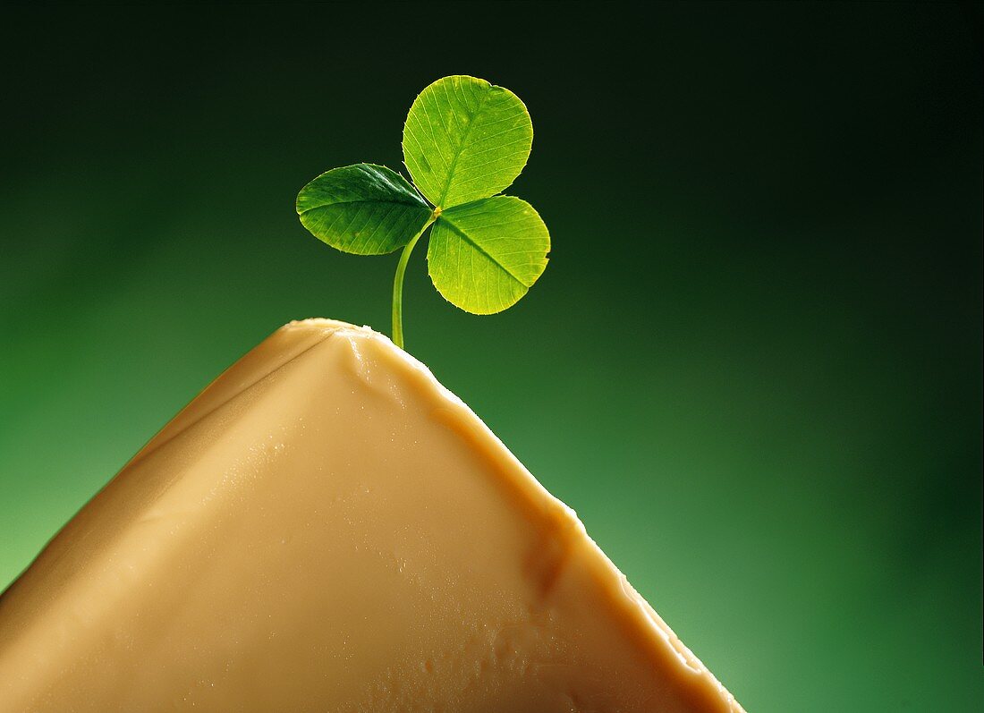 A block of butter with a clover leaf
