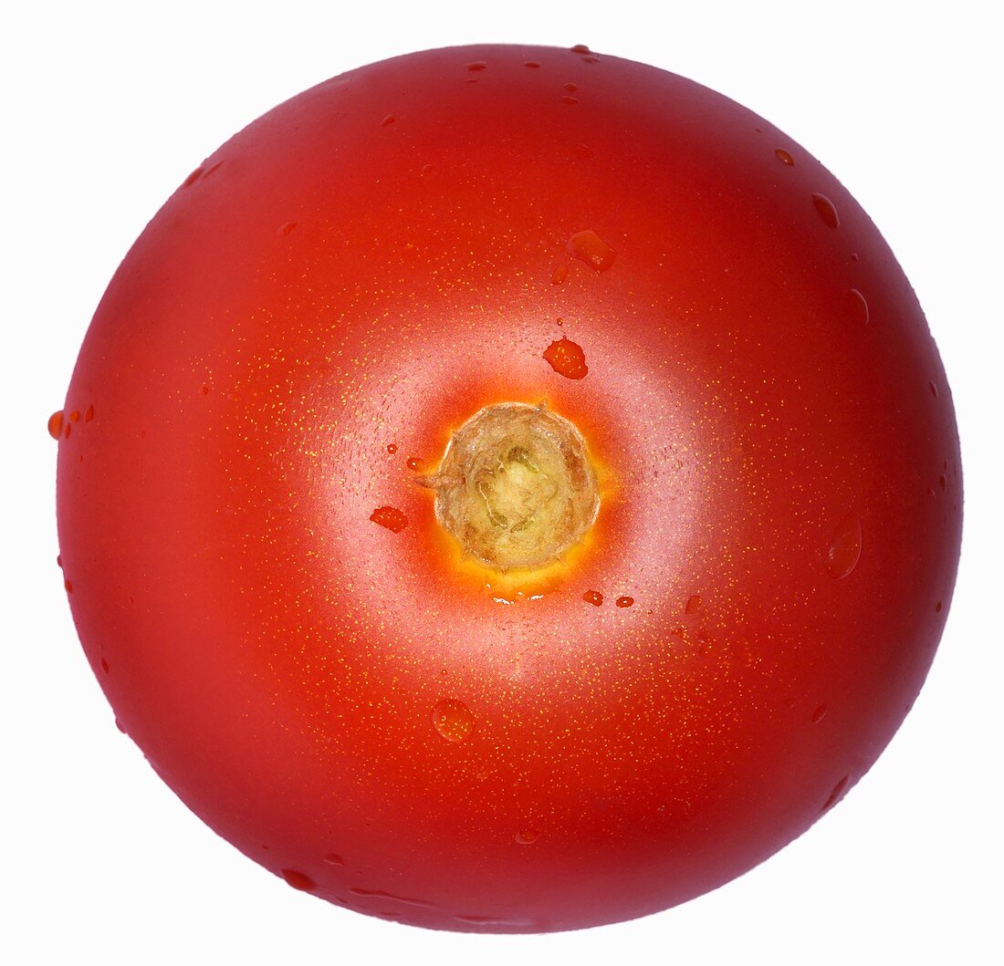 Eine rote Tomate