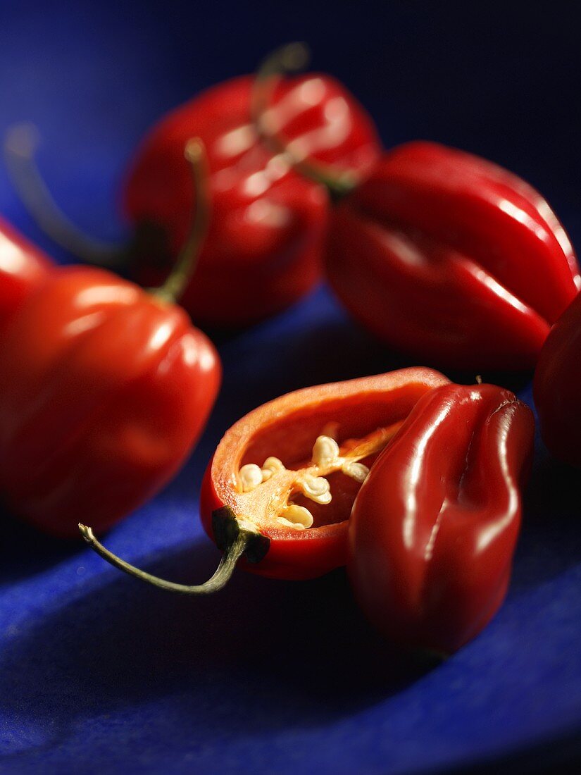 Red Habanero chillies