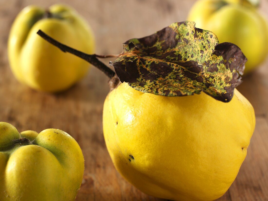 Four quinces