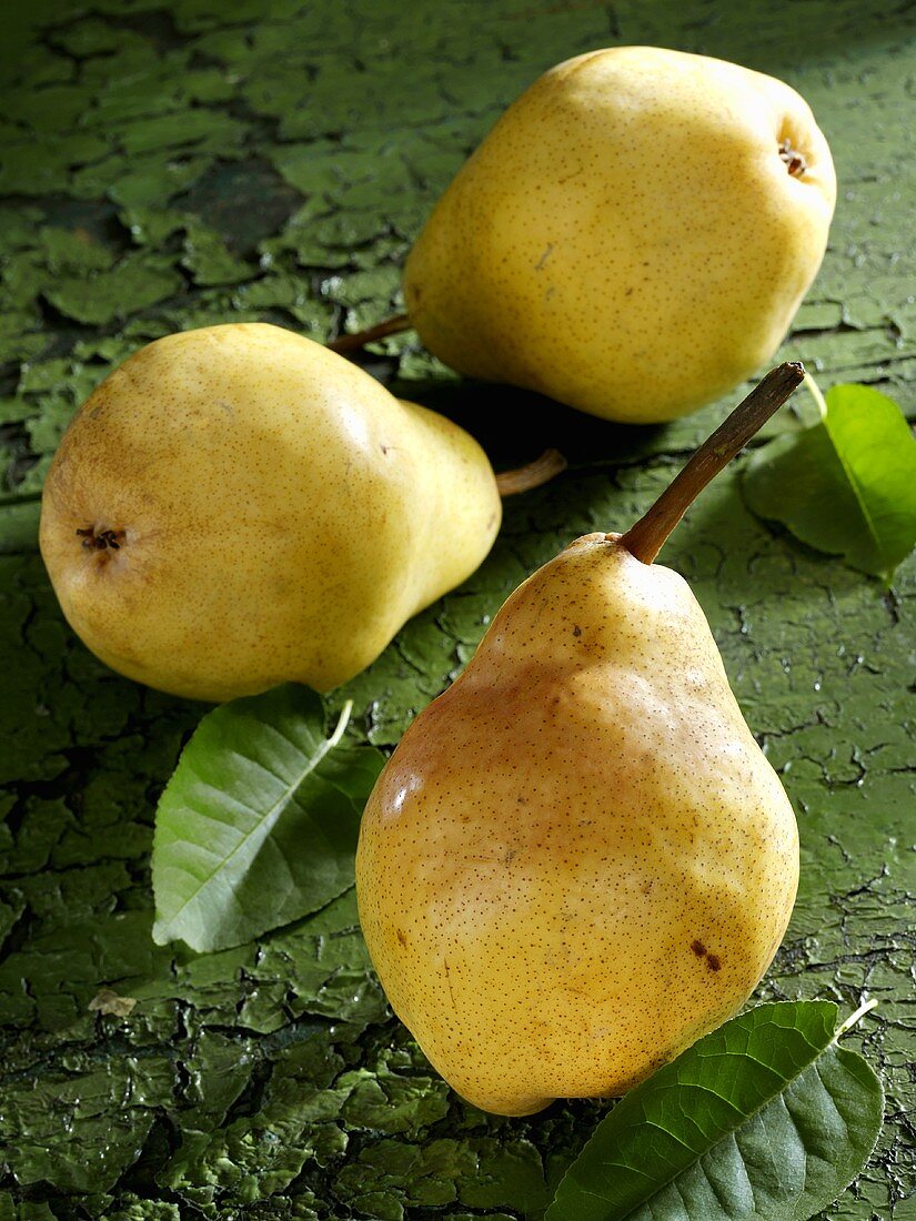 Three yellow Williams pears