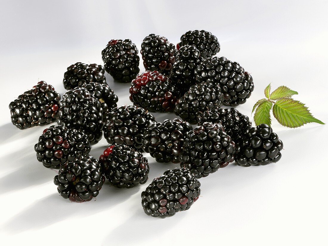 Brombeeren