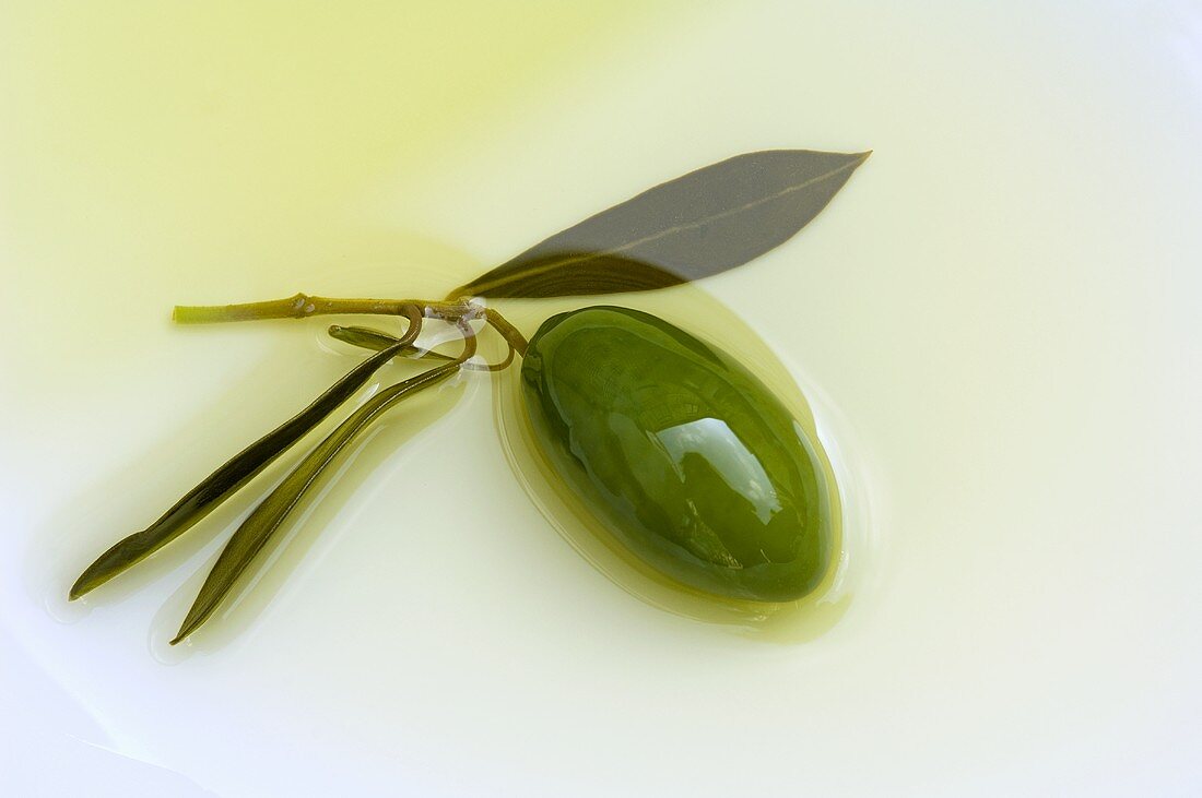 An olive with leaves in oil