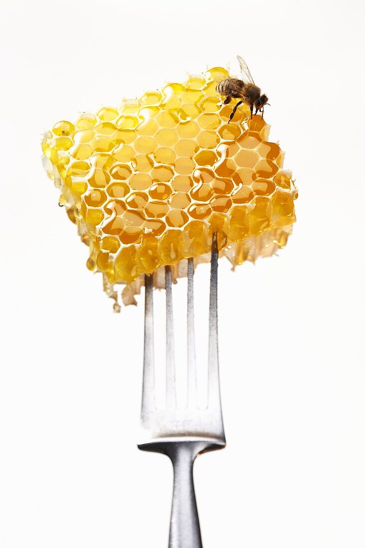 Honeycomb with bee on a fork