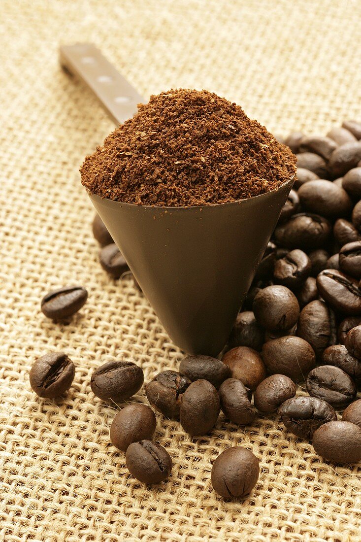 Ground coffee in coffee measure and coffee beans