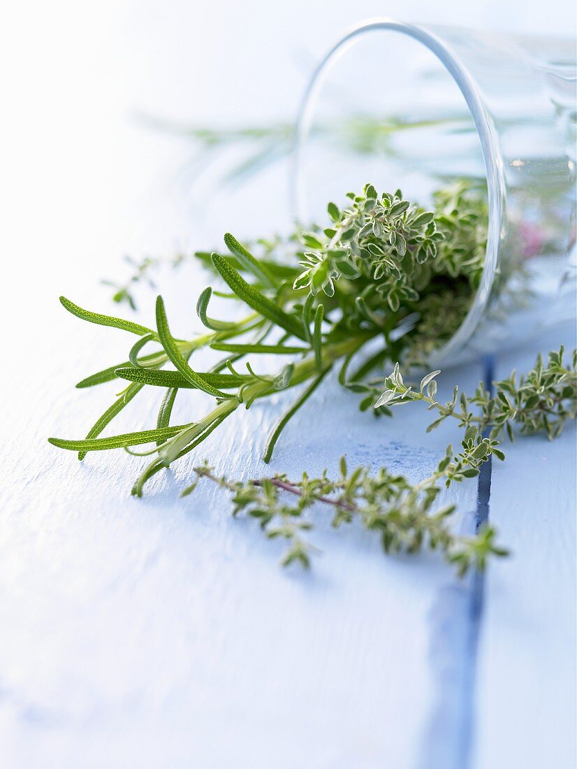 Thyme and rosemary in a glass lying on its side