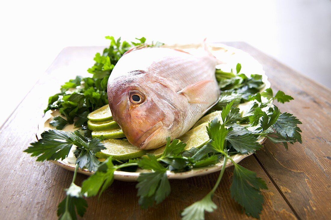 Sea bream on slices of lime and herbs
