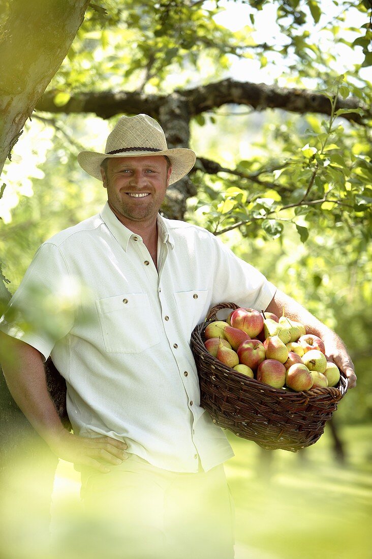Mann steht unterm Baum mit einem Korb Äpfel