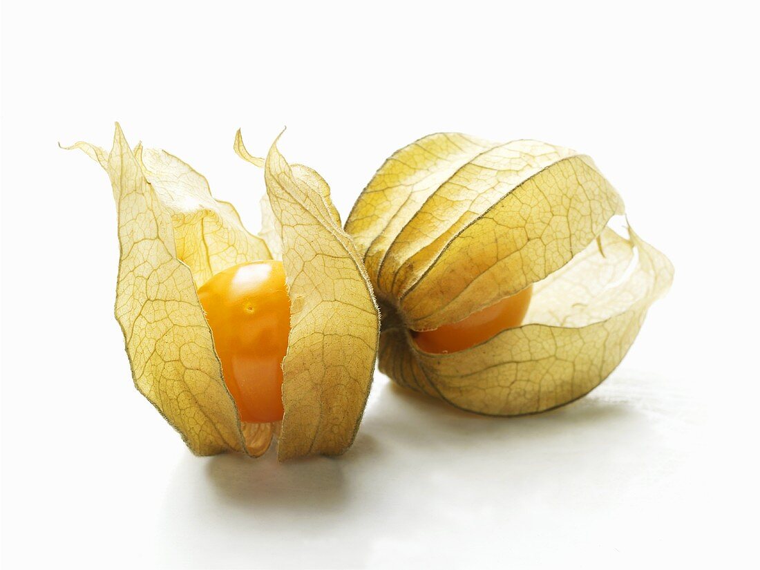 Zwei Physalis