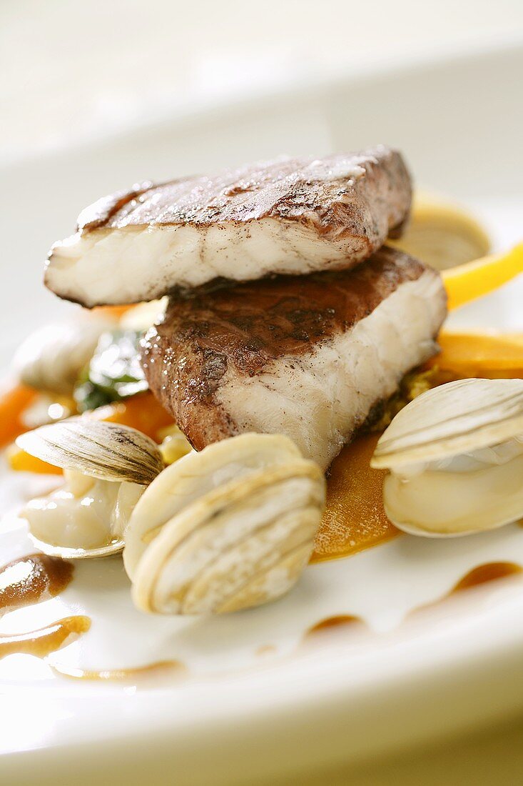 Fried sea bream fillet with shellfish