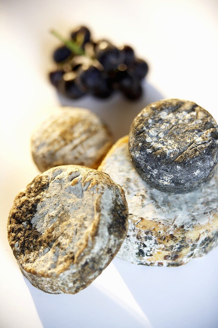 Four goat's cheeses and grapes