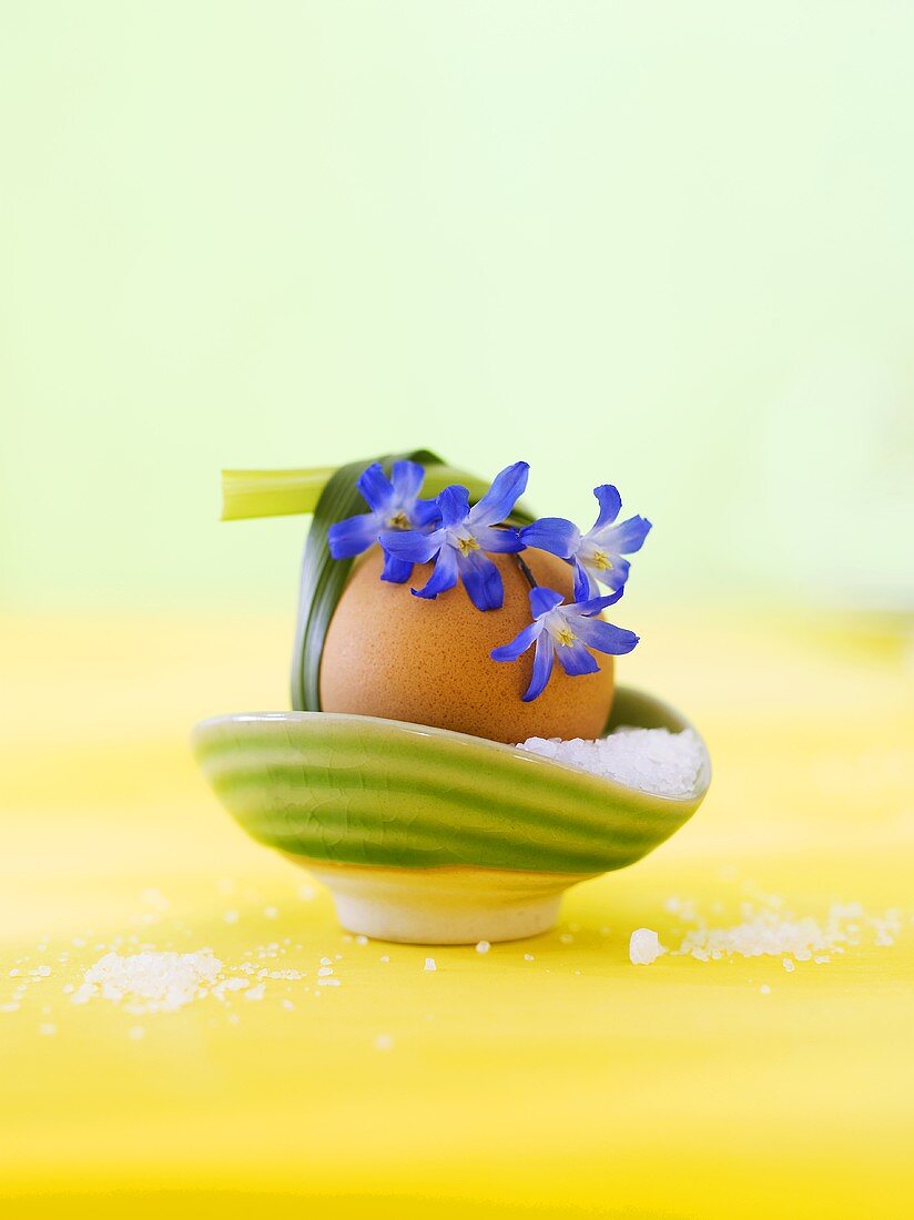 Boiled egg in egg cup with salt and flowers