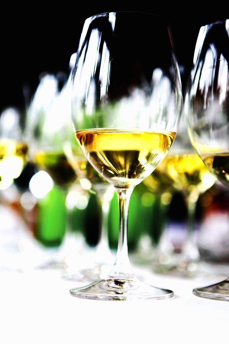 Several glasses of white wine on a table
