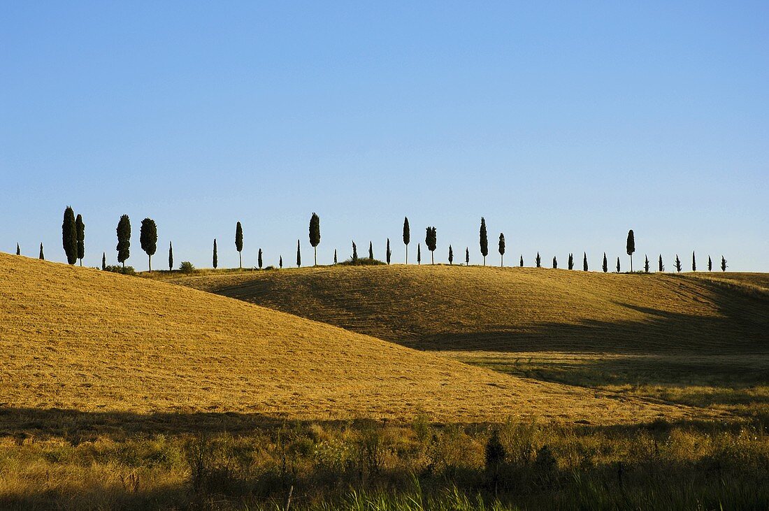 Landschaftsbild aus der Toskana