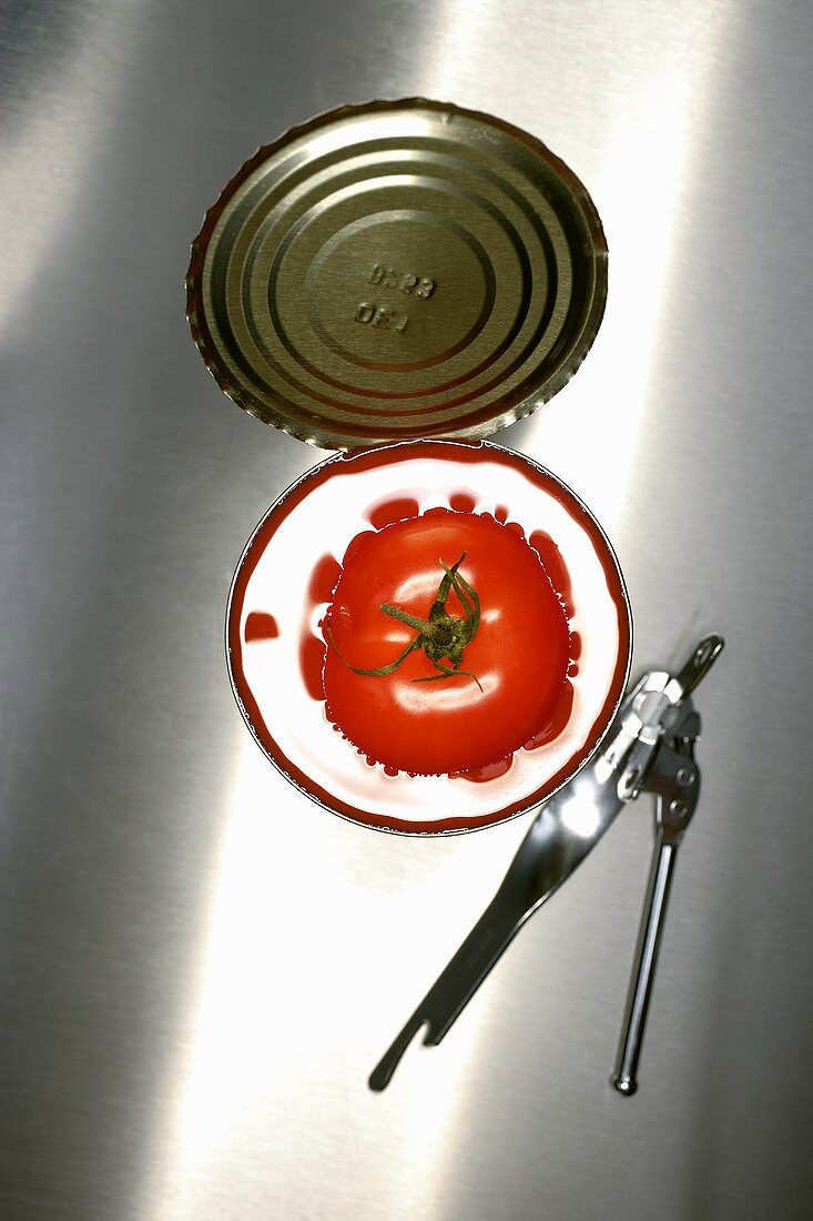 Frische Tomate in einer geöffneter Konservendose