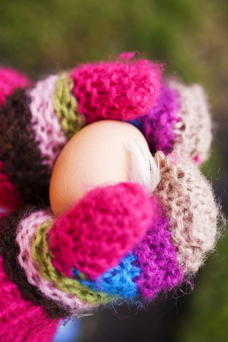 Hands in woollen mittens holding a fresh egg
