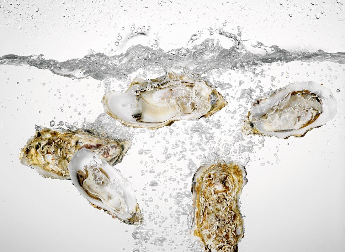 Oysters falling into water