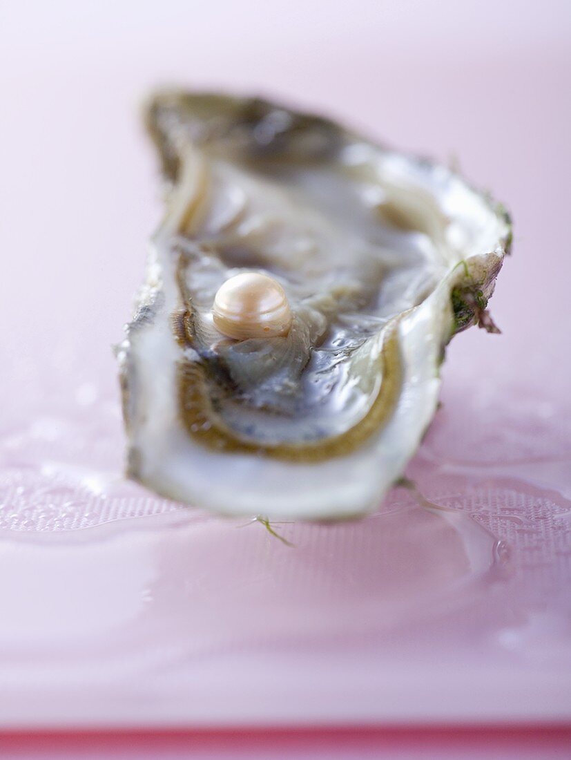 Fresh oyster with pink pearl