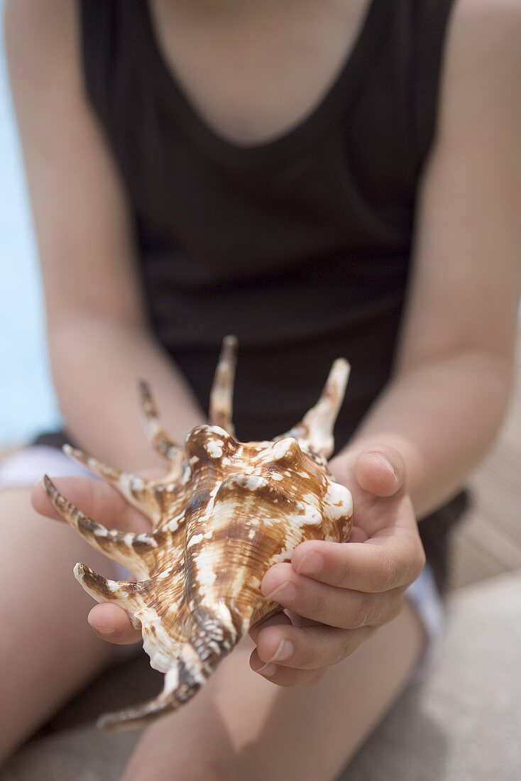 Child holding a sea shell