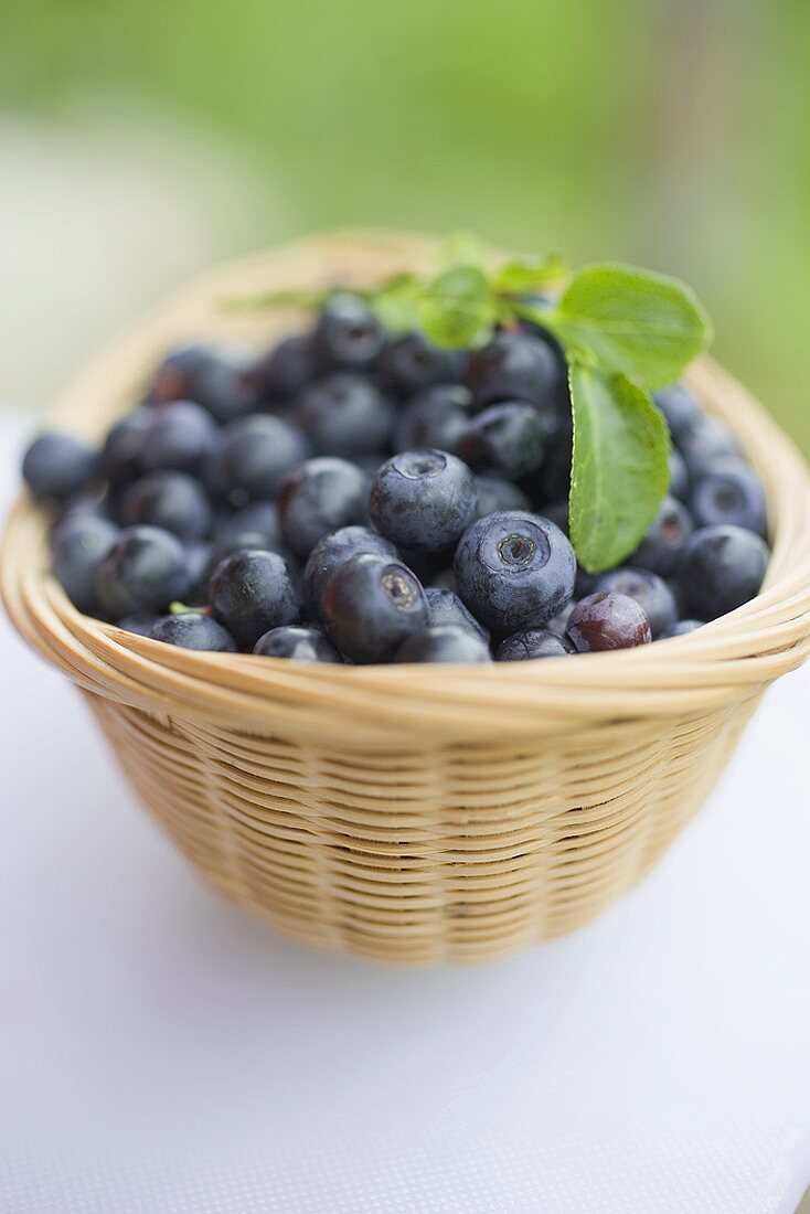 Heidelbeeren mit Blättern im Korb