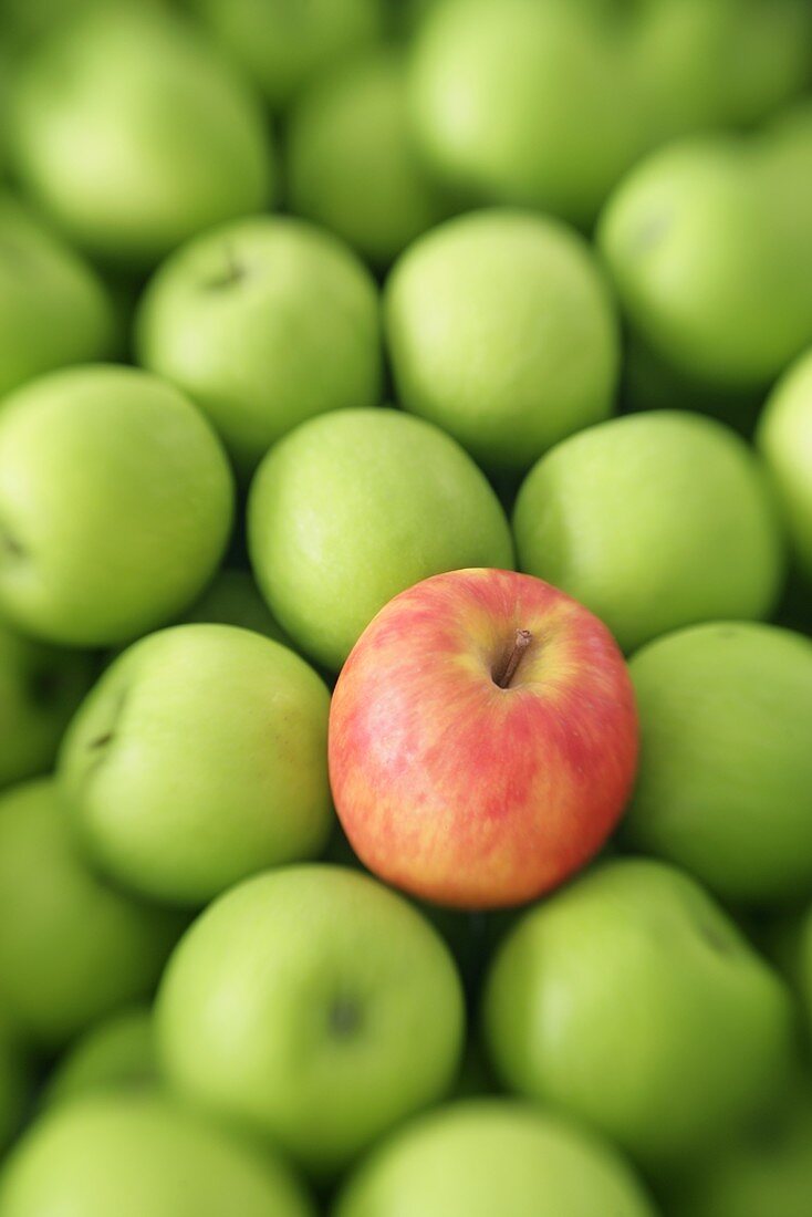 A red apple among green apples