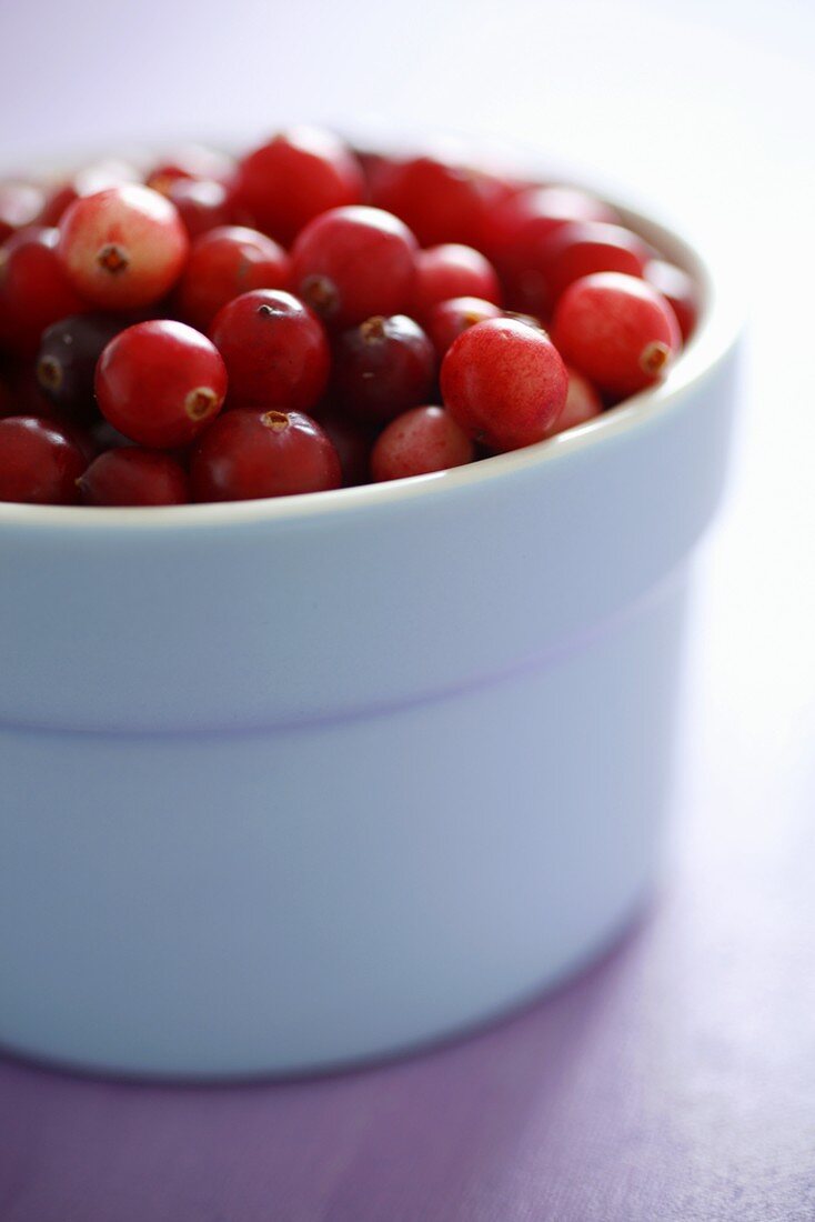 Fresh cranberries in white bowl