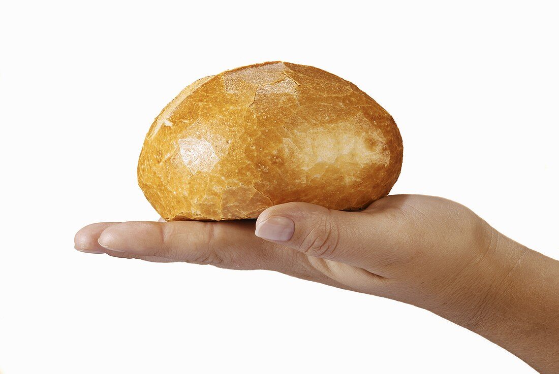 Bread roll on someone's hand