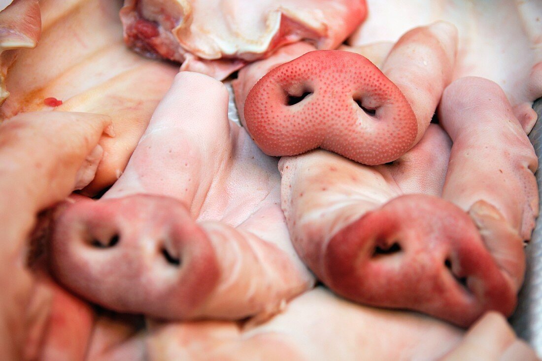 Pigs' snouts on market stall, Tai Po Market, Hong Kong, China
