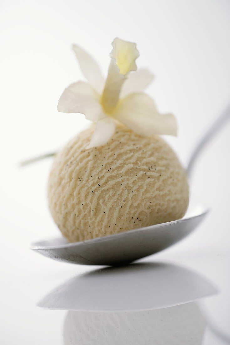 A scoop of vanilla ice cream with vanilla flower