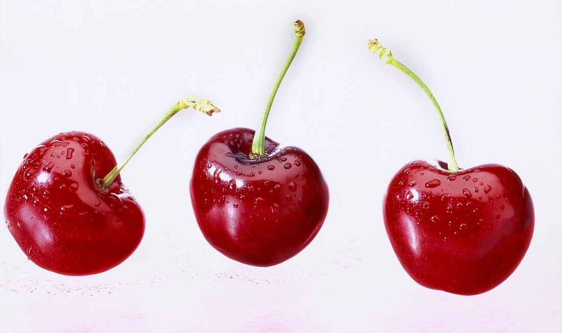 Three cherries with drops of water