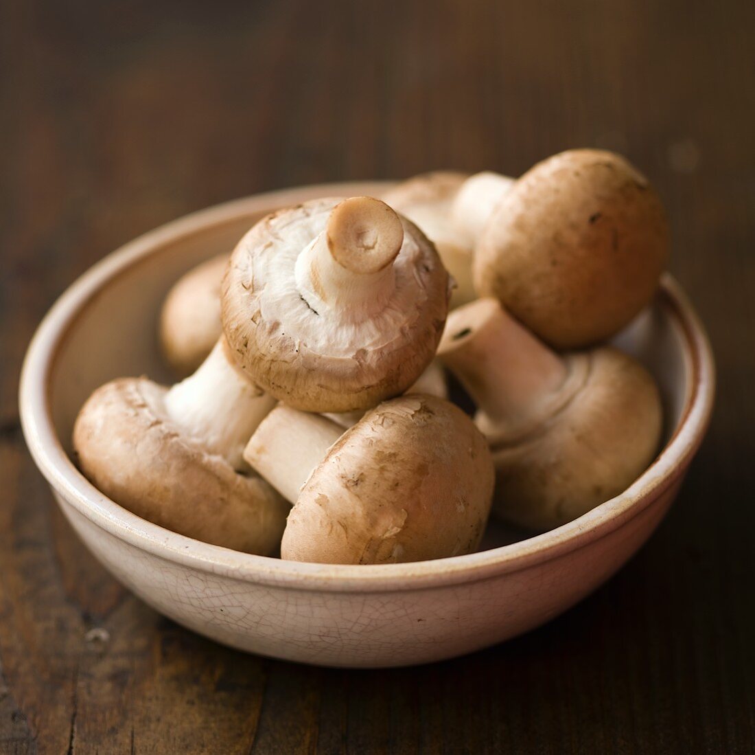 Braune Champignons in einer Schale