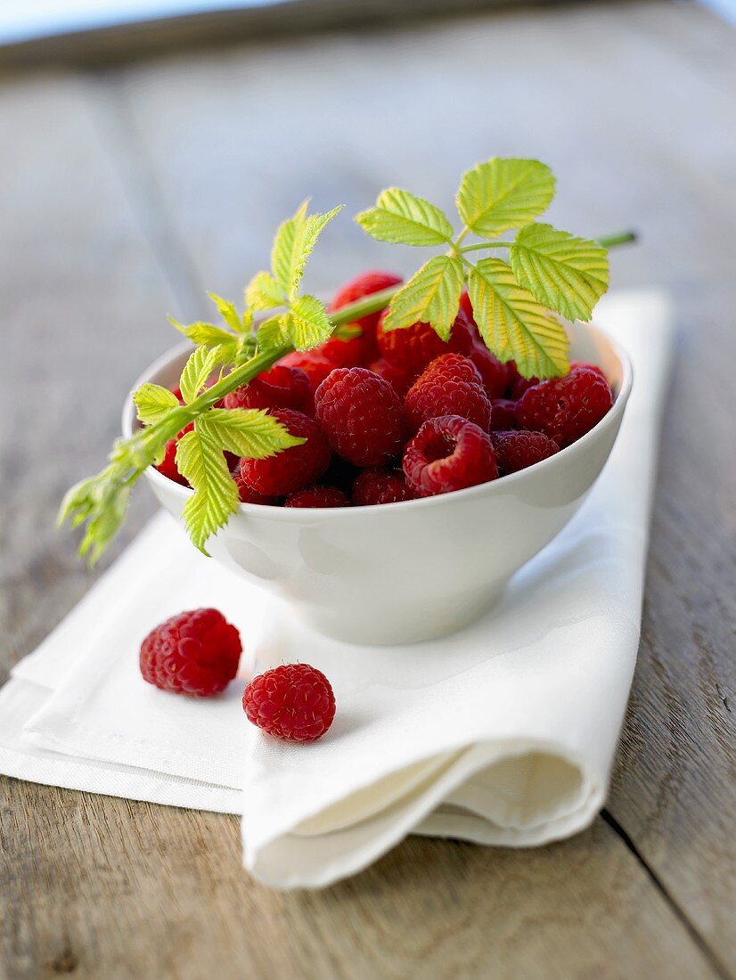 Fresh raspberries & raspberry branch in small bowl on napkin
