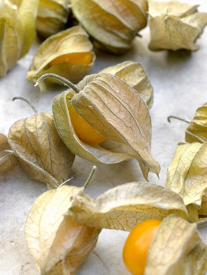 Mehrere Physalis