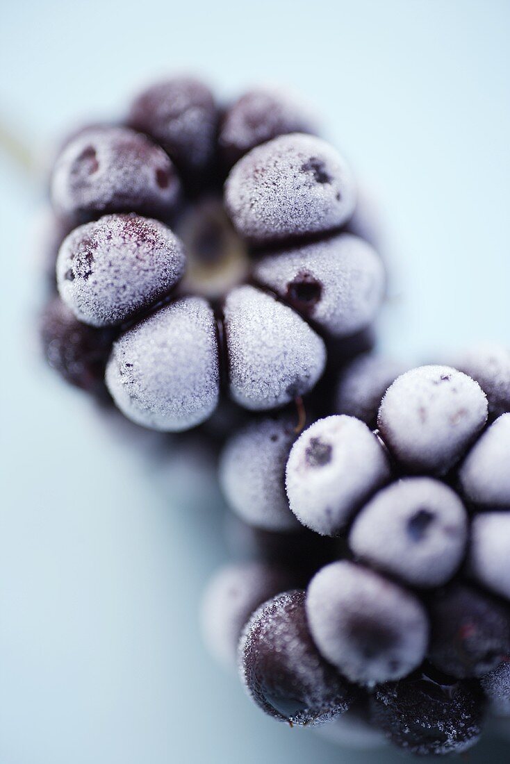 Frozen blackberries (close-up)