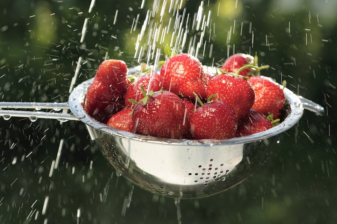 Washing strawberries in a sieve