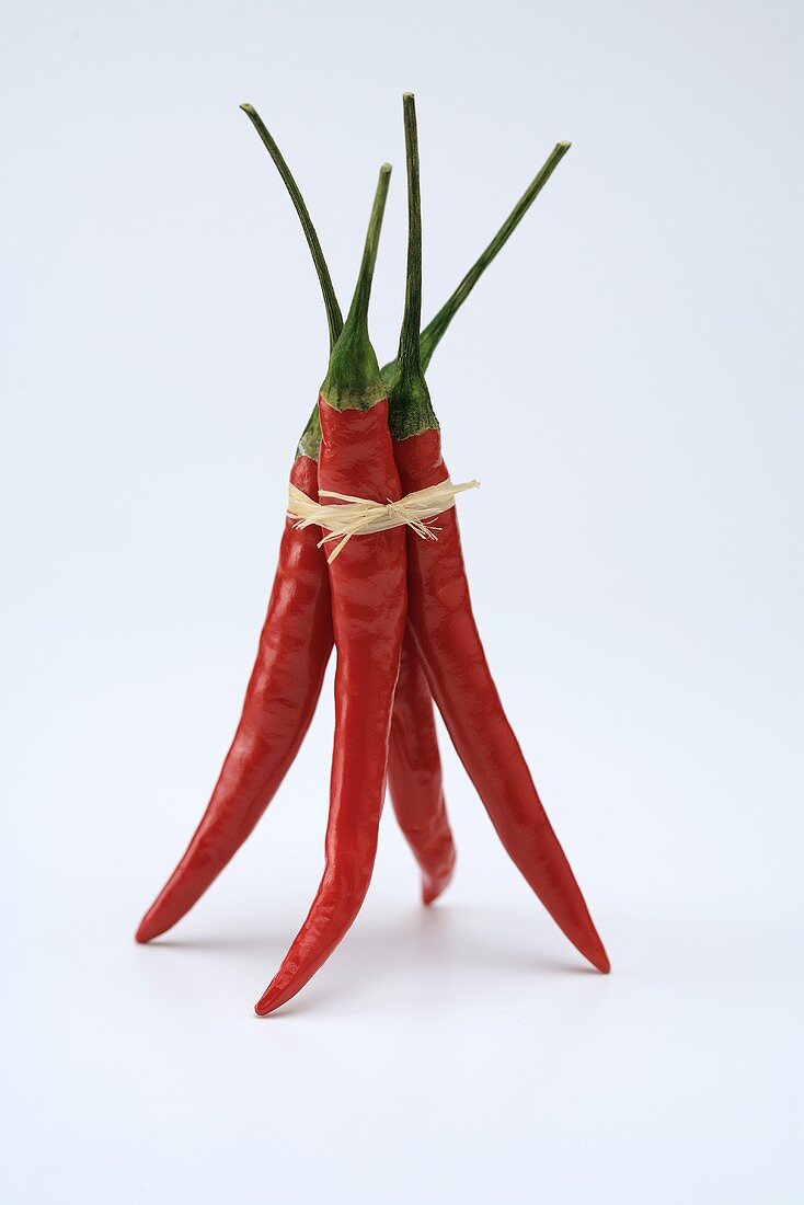 Four chillies, tied together