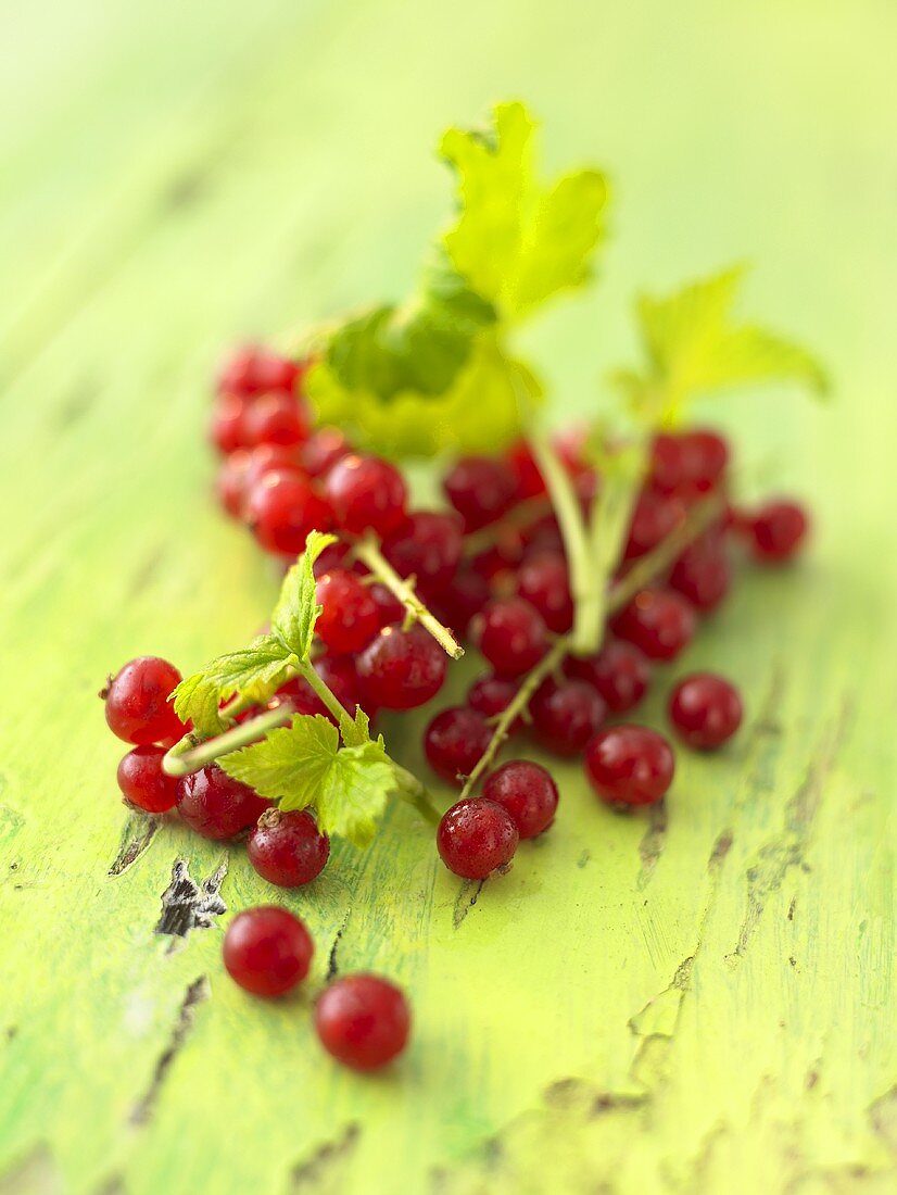 Redcurrants with leaves