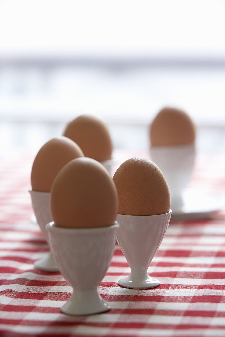 Eier in Eierbechern auf kariertem Tischtuch