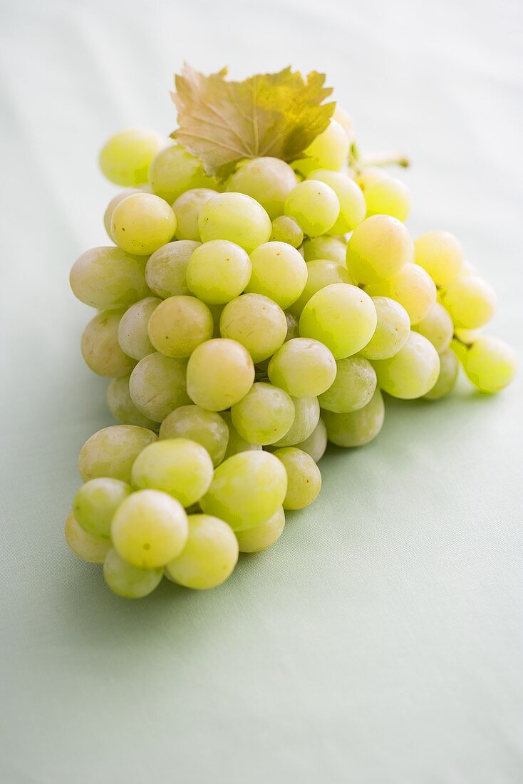 Fresh green grapes