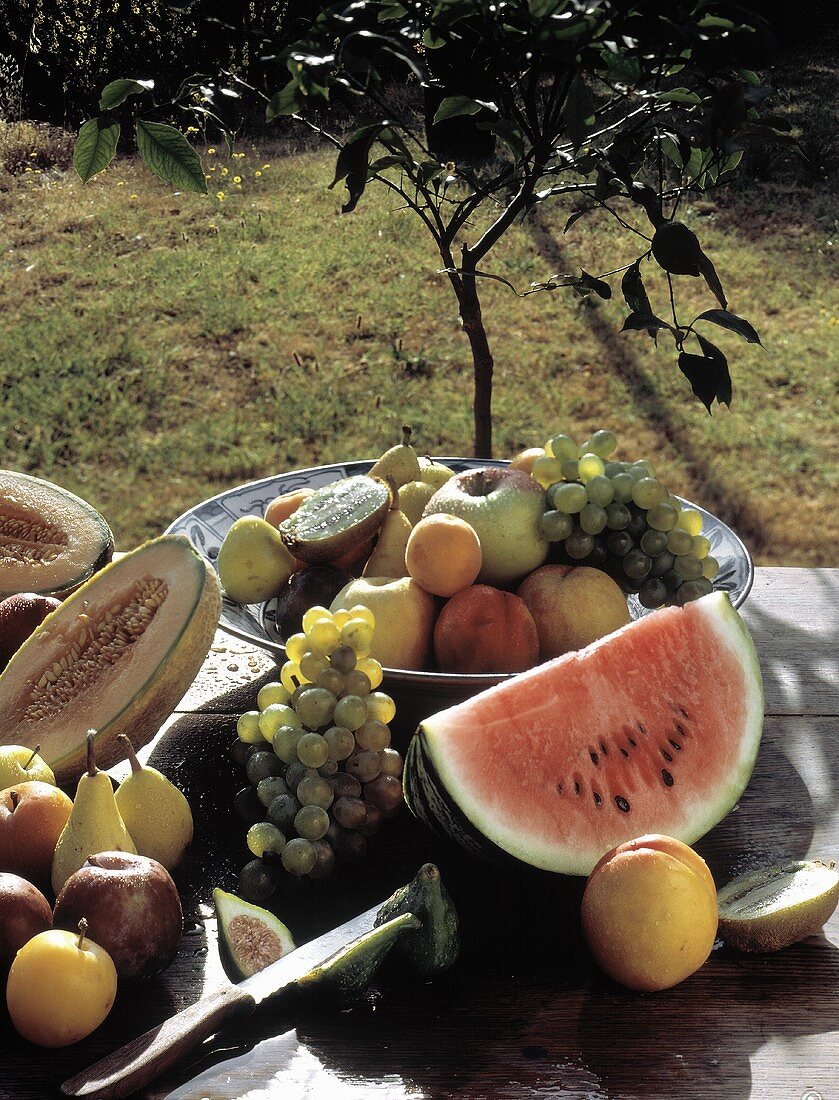 Stillleben mit Sommerfrüchten im Garten