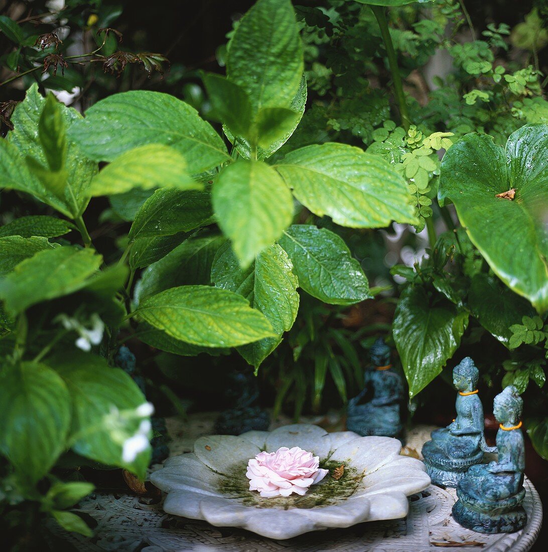 Rose in flower-shaped bowl, Indian figures beside it