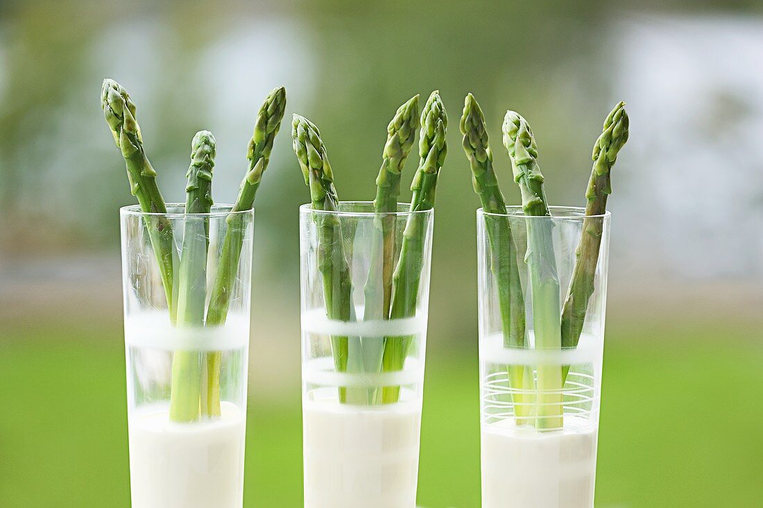 Grüner Spargel mit Zitronen-Estragon-Sauce