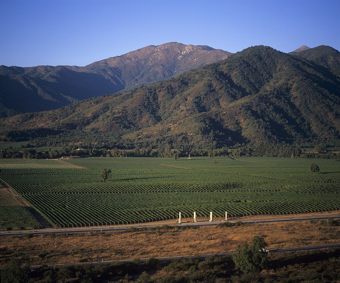 The Veramonte Wine Estate from above, Casablanca, Chile