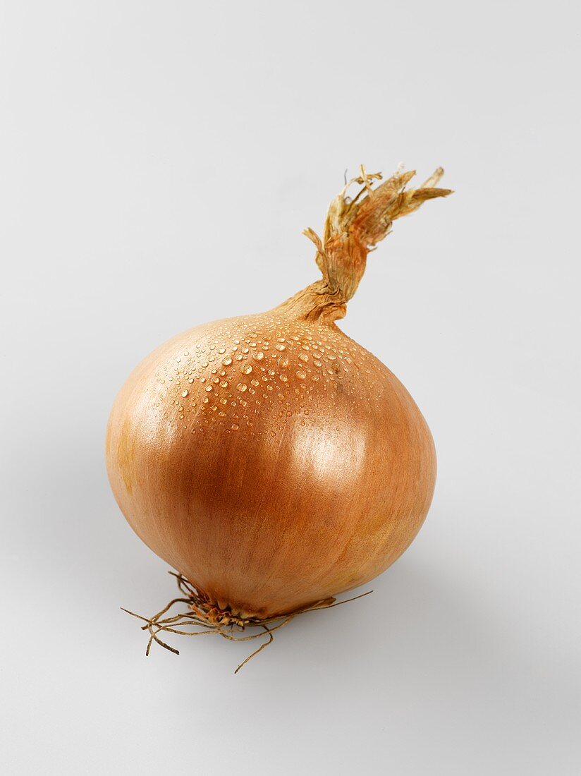 An onion with drops of water
